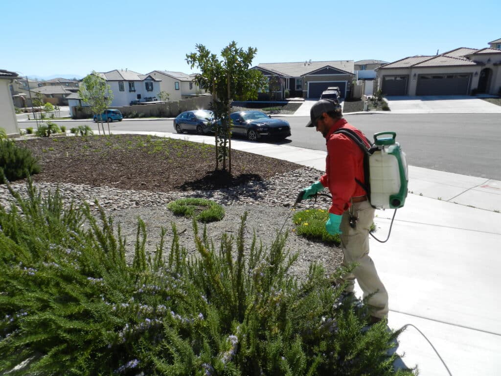 Bull's Eye Pest Control technician treating a Southern California property