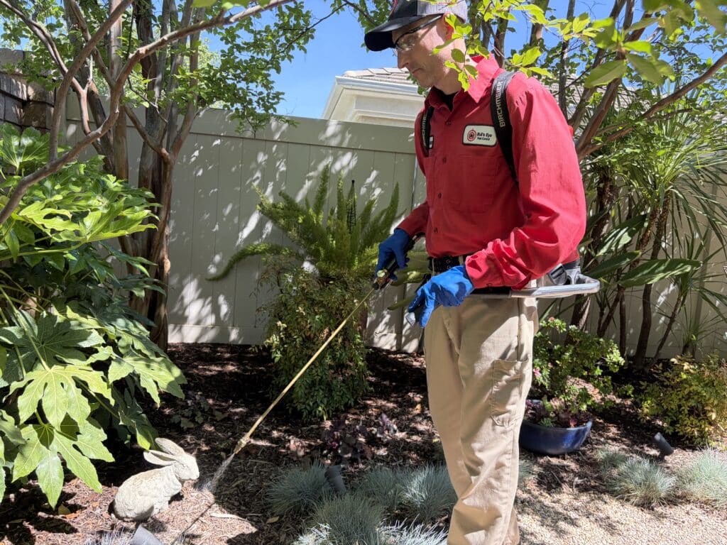 Bull's Eye Pest Control technician treating a Southern California property