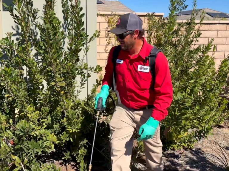 Bull's Eye technician treating shrubs along a block wall at a Wildomar home